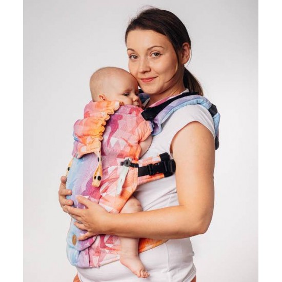 LennyUpGrade Swallows Rainbow Light Carrier