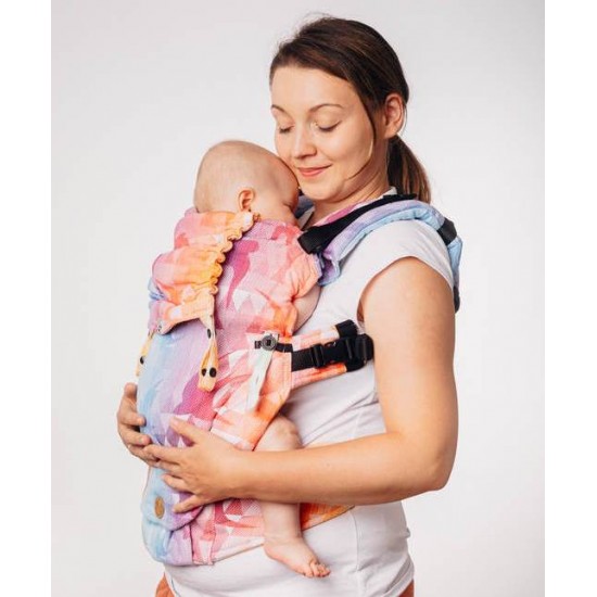 LennyUpGrade Swallows Rainbow Light Carrier