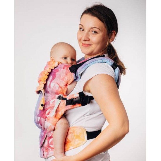 LennyUpGrade Swallows Rainbow Light Carrier