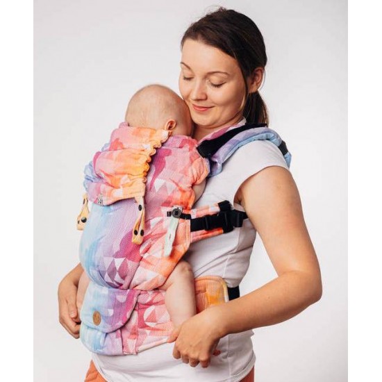 LennyUpGrade Swallows Rainbow Light Carrier